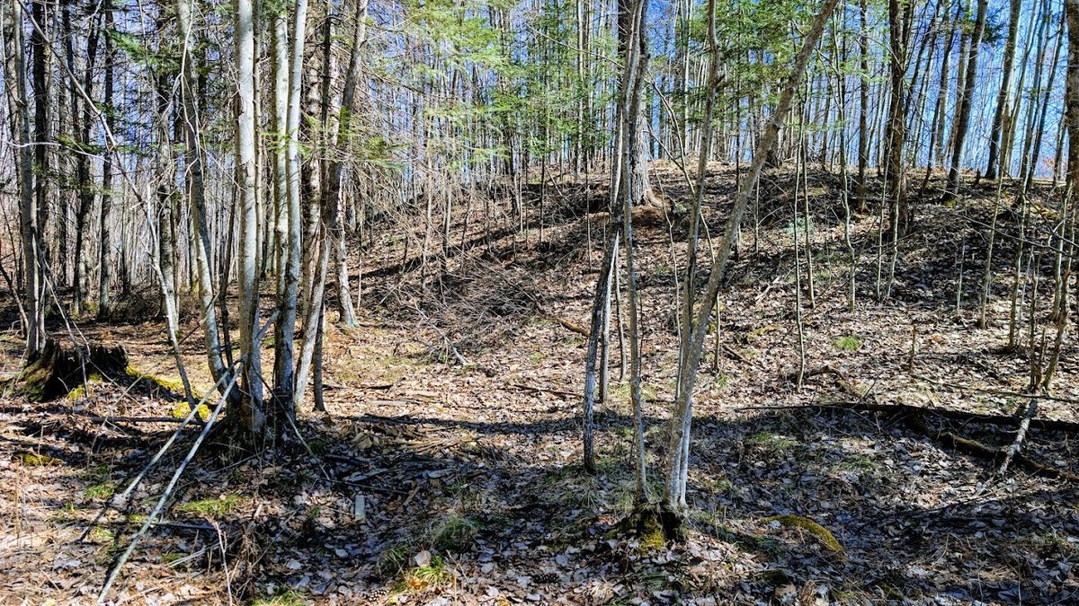 17341 County Highway M  New Auburn WI 54757 — photo 53