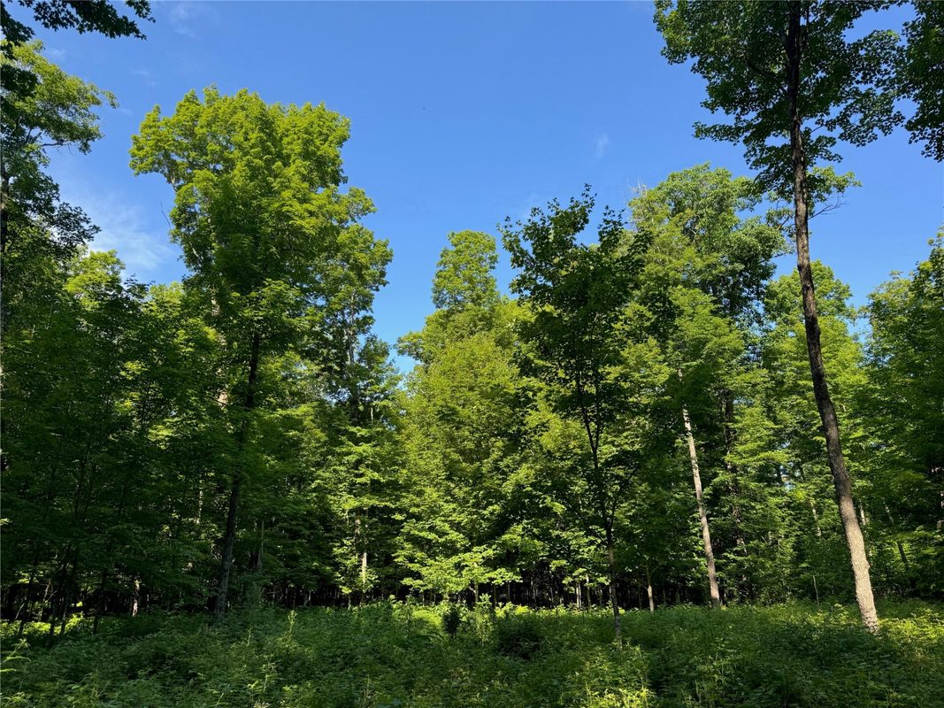 Lot 8 Crane Lane, Hayward WI 54843 - Land house for sale - MLS #1603375 - image15