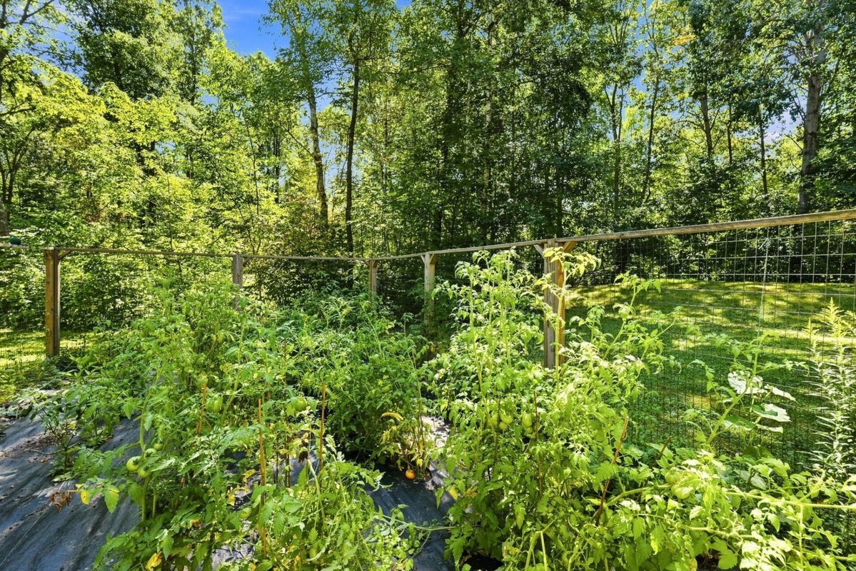 1256 26 1/2 Avenue, Rice Lake WI 54868 - Residential house for sale - MLS #1604675 - image5