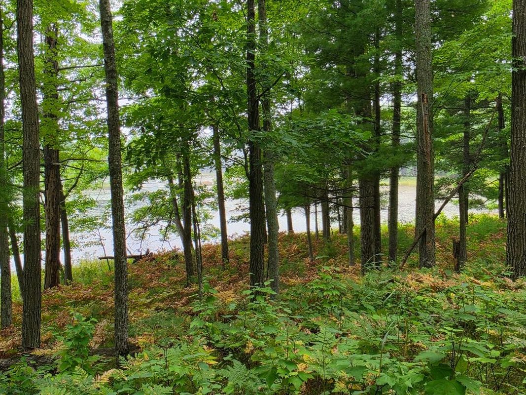 00 10 1/2-28 1/2, Barronett WI 54813 - Land house for sale - MLS #1604830 - image30