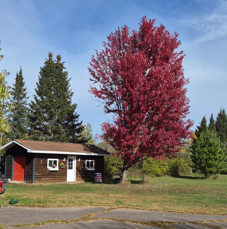 11681 W Bechtel Rd, Radisson WI 54867 - Residential house for sale - MLS #1605840 - image19
