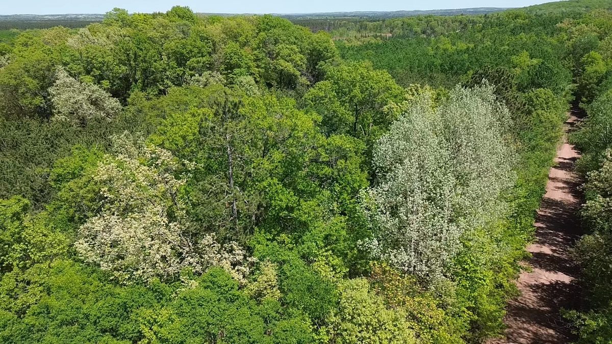 343X 5th Avenue, Spooner WI 54801 - Land house for sale - MLS #1601653 - image8