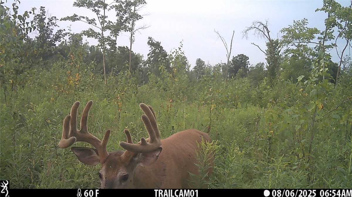 Lot 4 160th Avenue, Turtle Lake, WI — photo 6