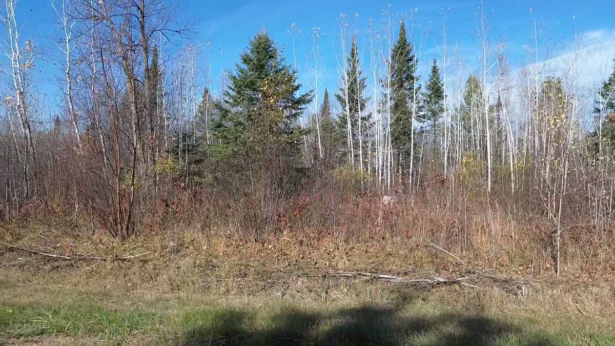 123XX W Jos R Chafer Road, Couderay WI 54828 - Land house for sale - MLS #1606292 - image9