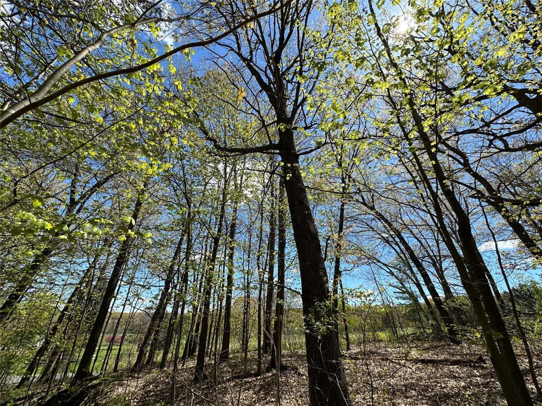 1438 Pleasant Hill Road, Eau Claire WI 54703 - Land house for sale - MLS #1602766 - image4