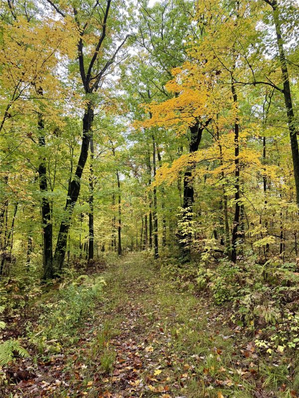00 10 1/2-28 1/2, Barronett WI 54813 - Land house for sale - MLS #1604830 - image12