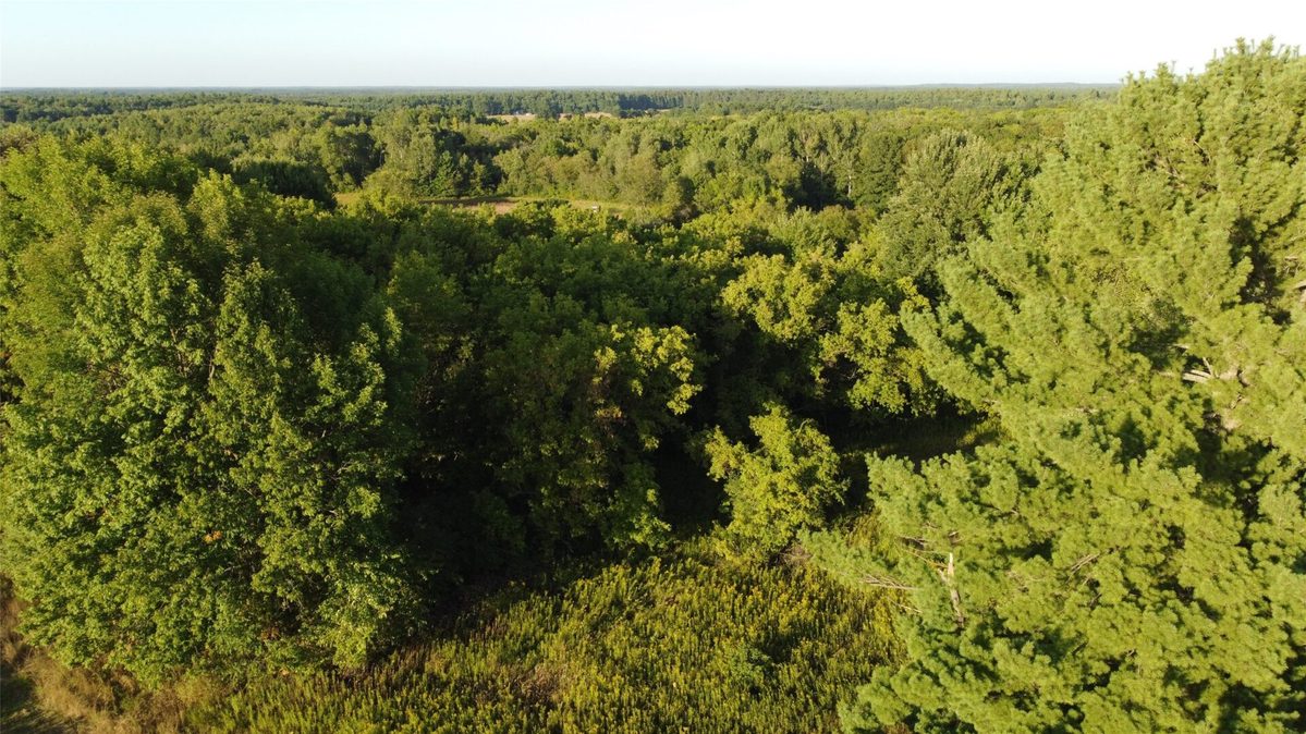 965 340th, Frederic WI 54837 - Land house for sale - MLS #1605649 - image11