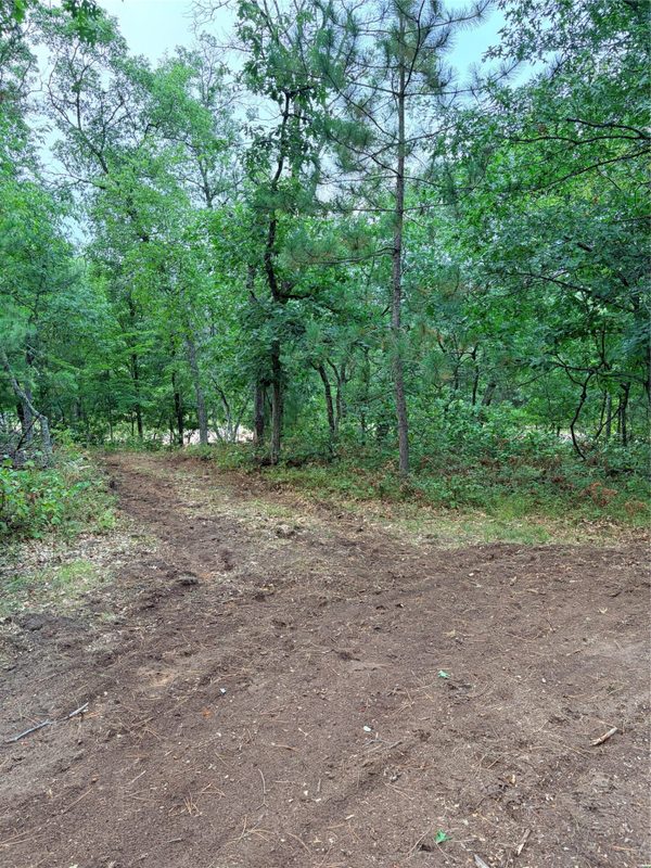 XX Pash Drive, Trego WI 54888 - Land house for sale - MLS #1604910 - image9