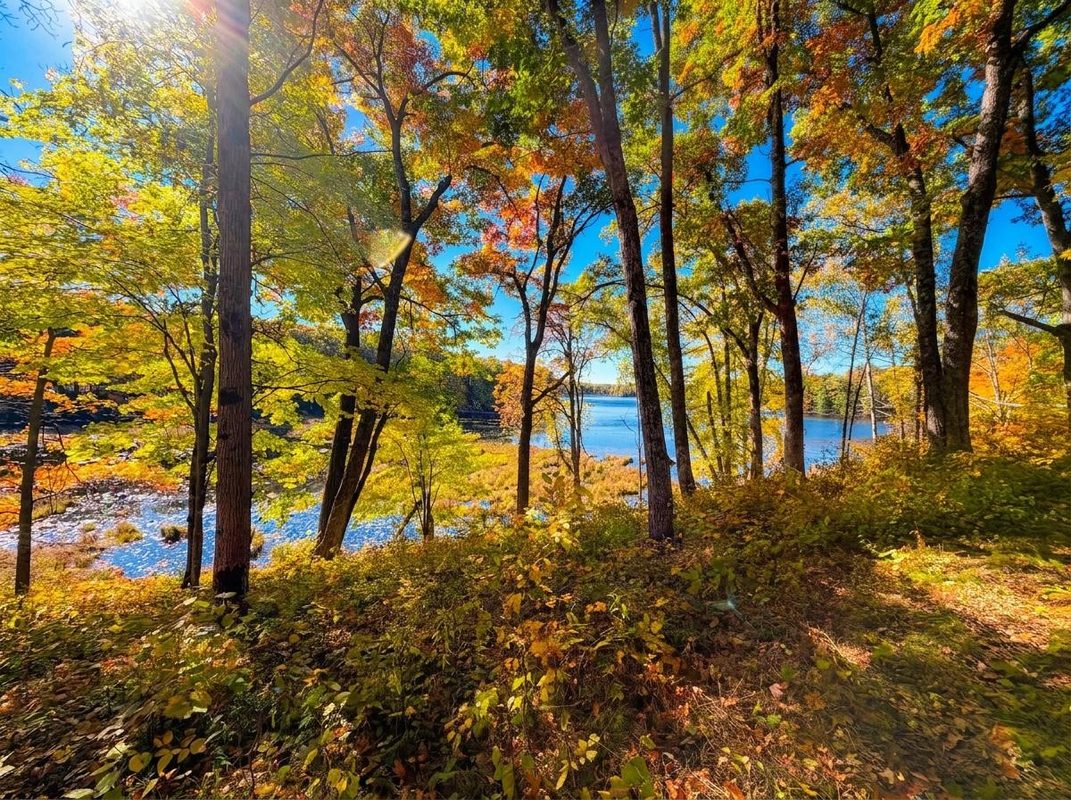 Lot 78, 79 Loons Landing Road, Weyerhaeuser WI 54895 - Land house for sale - MLS #1605876 - image6