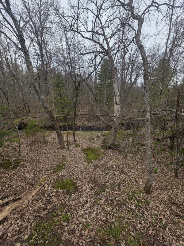 N8644 Lumbard Lane, Springbrook WI 54875 - Residential house for sale - MLS #1600874 - image29