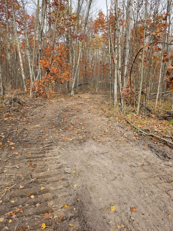 30 Acres County Highway X, Glen Flora WI 54526 - Land house for sale - MLS #1605967 - image7