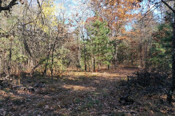 Lot 1 Spaulding Road Grantsburg WI 54840