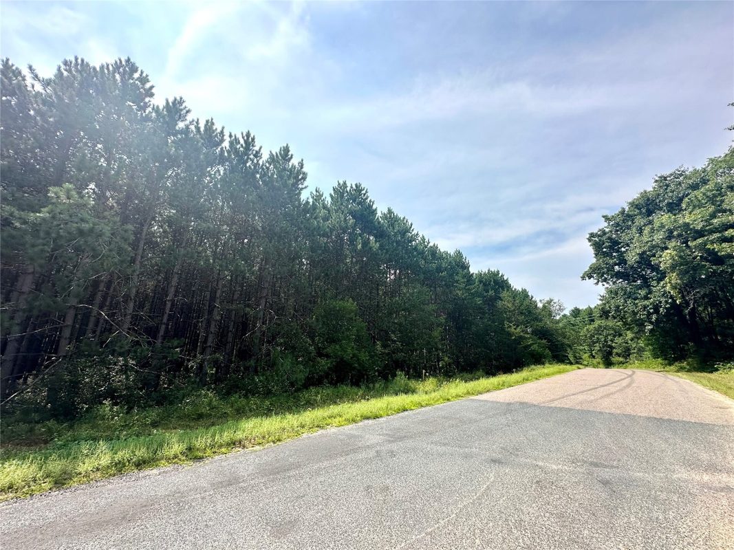 N9679 630th Street, Colfax WI 54730 - Land house for sale - MLS #1604625 - image19