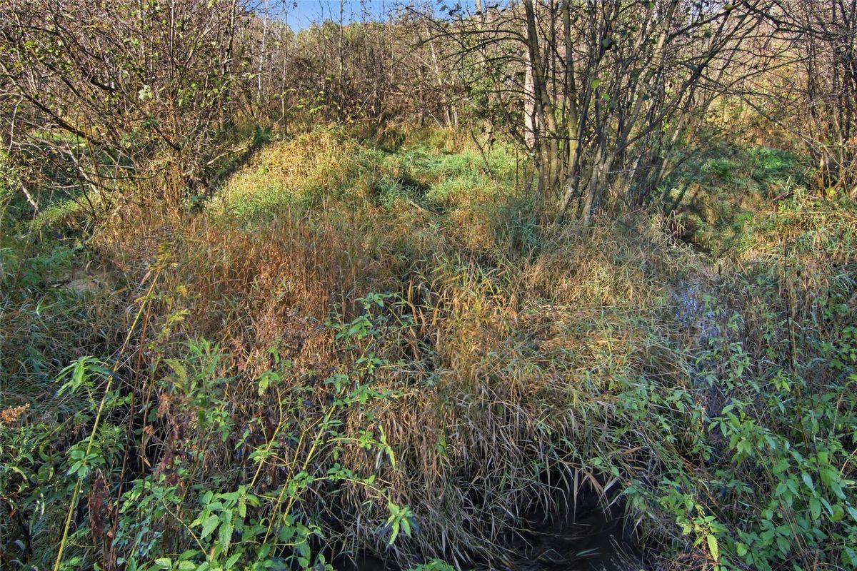 E1995 950th Avenue, Boyceville WI 54725 - Land house for sale - MLS #1606129 - image46