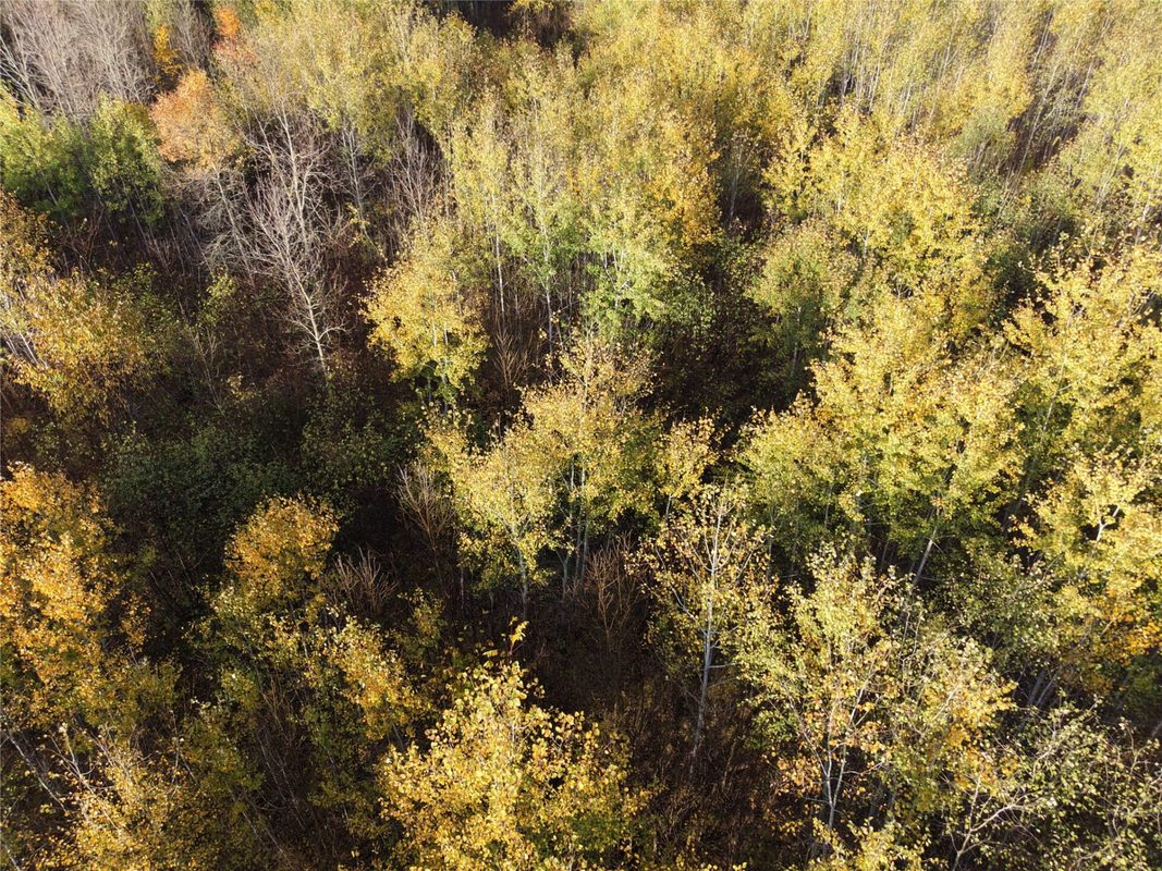 On County Highway W, Winter WI 54896 - Land house for sale - MLS #1605419 - image30
