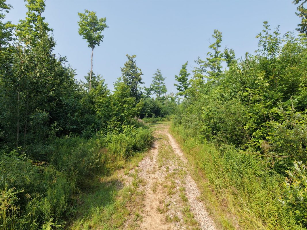 On County Road H, Radisson WI 54867 - Land house for sale - MLS #1603350 - image18