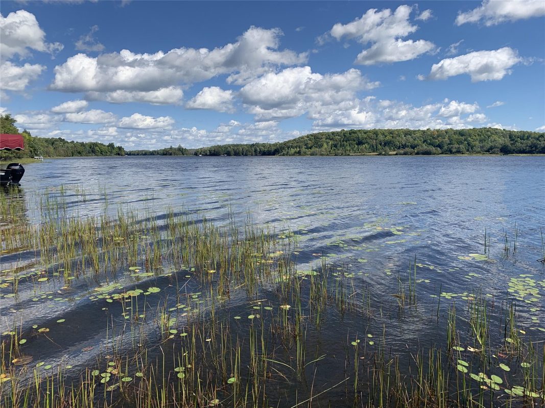 N16265 River Road, Park Falls WI 54552 - Residential house for sale - MLS #1605048 - image40