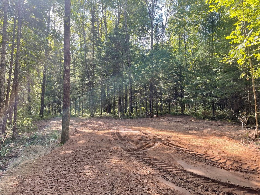Lot 2 Fadness Road, Winter WI 54896 - Land house for sale - MLS #1605242 - image13