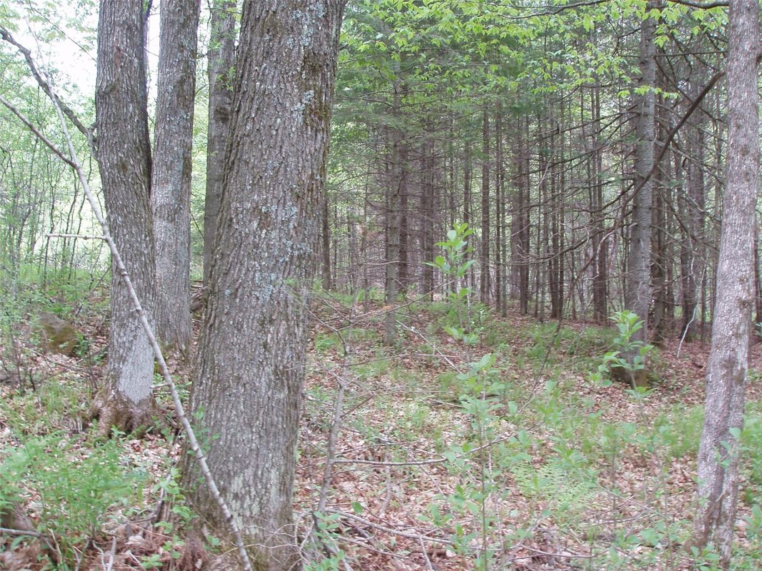 W9002 Moonshine Alley, Catawba WI 54514 - Residential house for sale - MLS #1601811 - image32