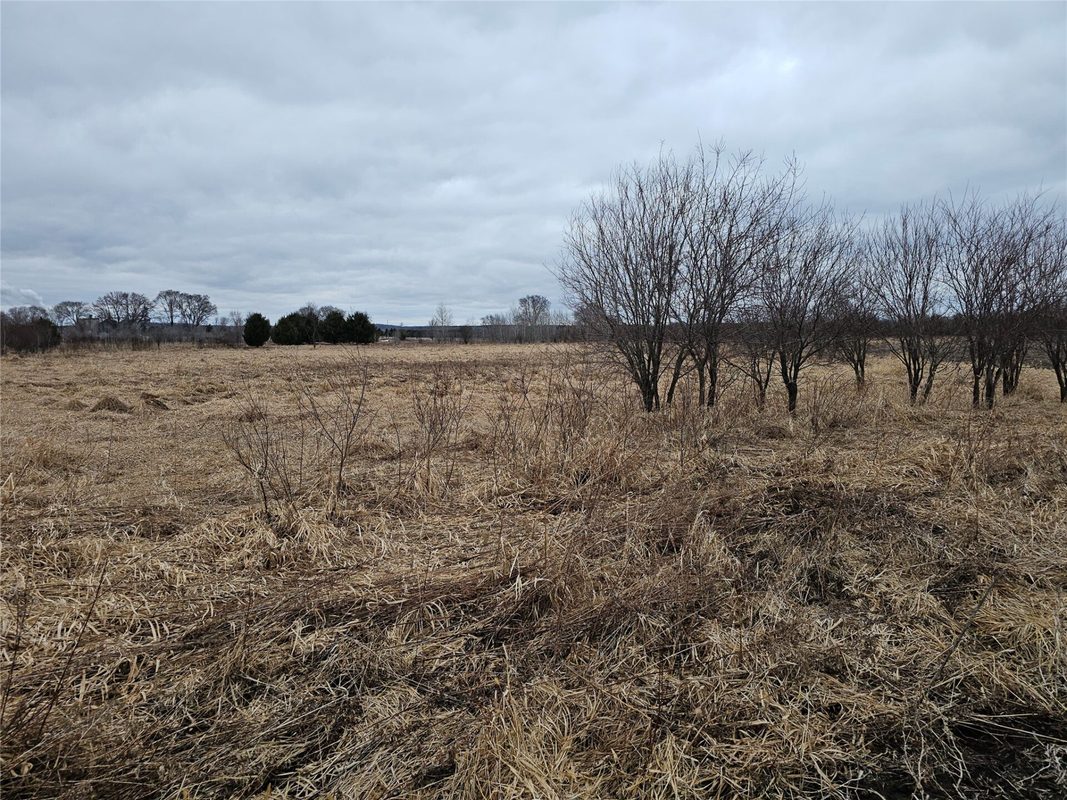 XXX 994th Avenue Boyceville WI 54725 — photo 4