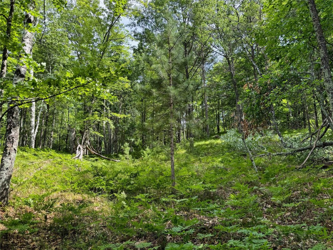 11149 Merganser Lane, Hayward WI 54843 - Land house for sale - MLS #1604672 - image39