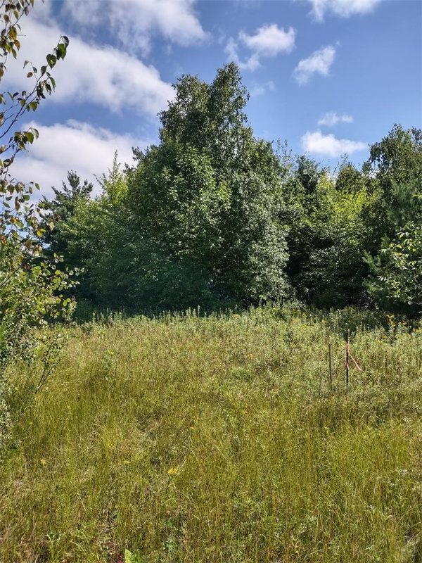 TBD Lot 7 10 1/4 Avenue, Chetek WI 54728 - Land house for sale - MLS #1595118 - image10