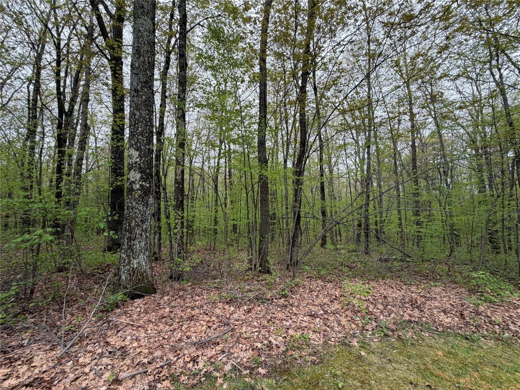 N 5543 County Hwy BB, Stone Lake WI 54876 - Residential house for sale - MLS #1601238 - image14