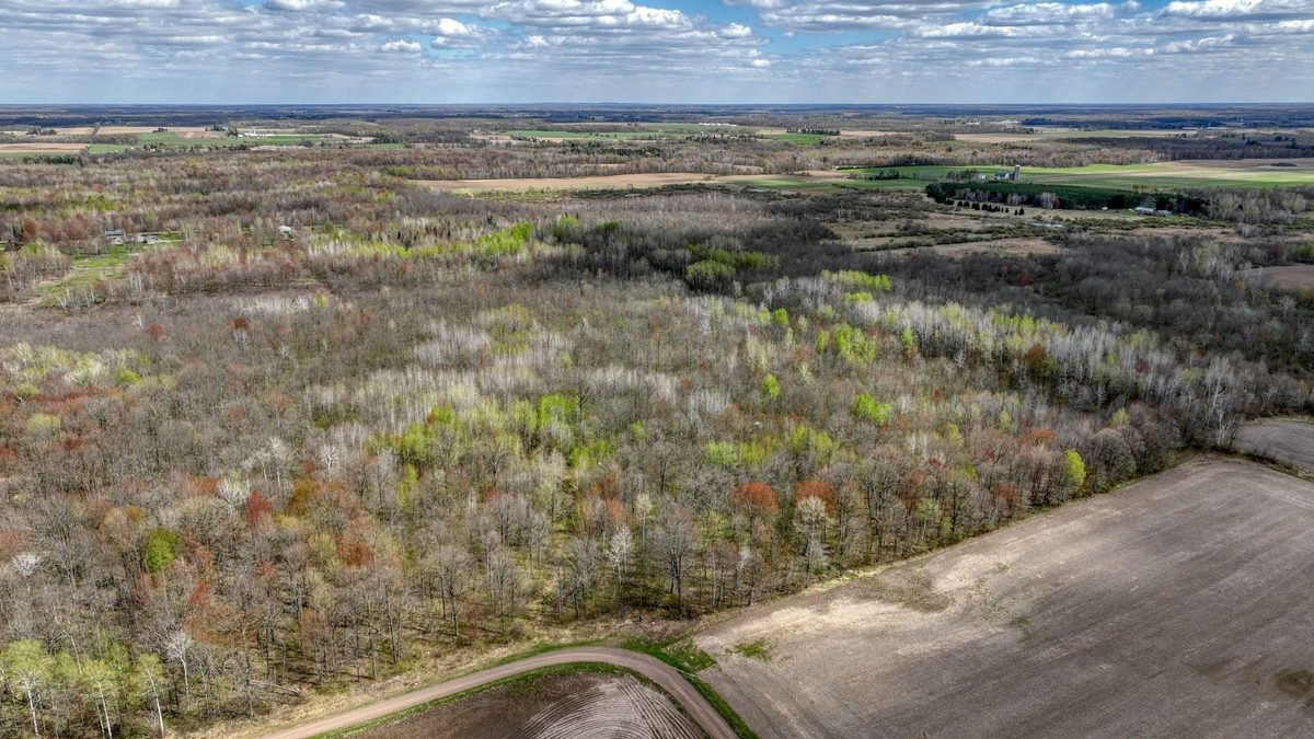 27.6 Acres off Helena Drive, Conrath WI 54731 - Land house for sale - MLS #1605499 - image4