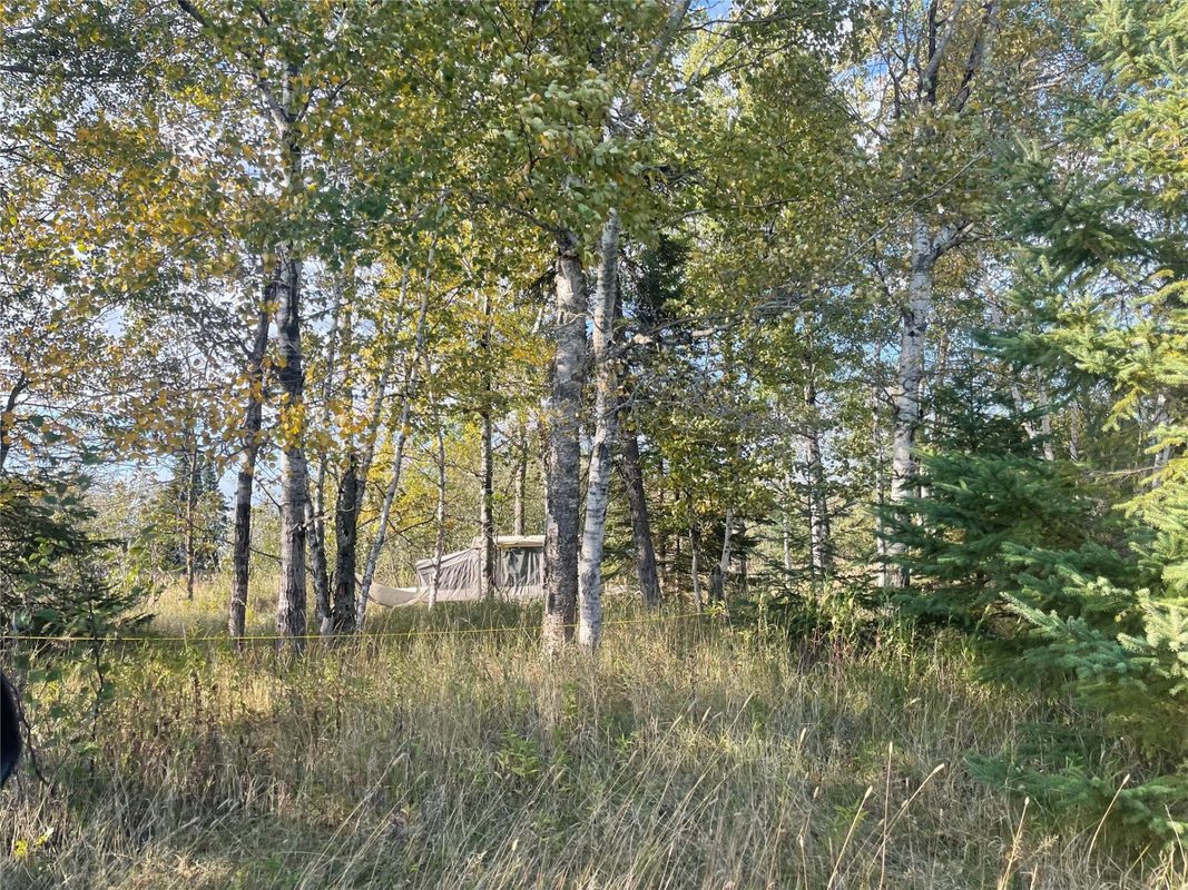 10427 Devries Road, Poplar WI 54864 - Land house for sale - MLS #1599941 - image10