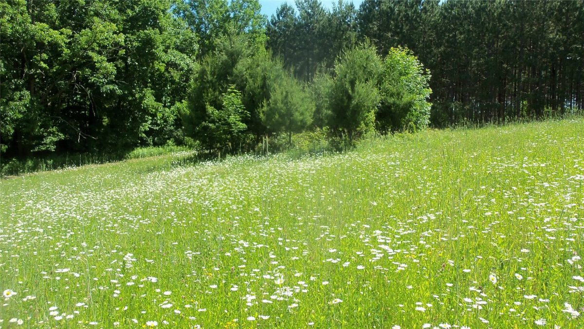 XXX Bashaw Store Road, Shell Lake WI 54871 - Land house for sale - MLS #1603494 - image18