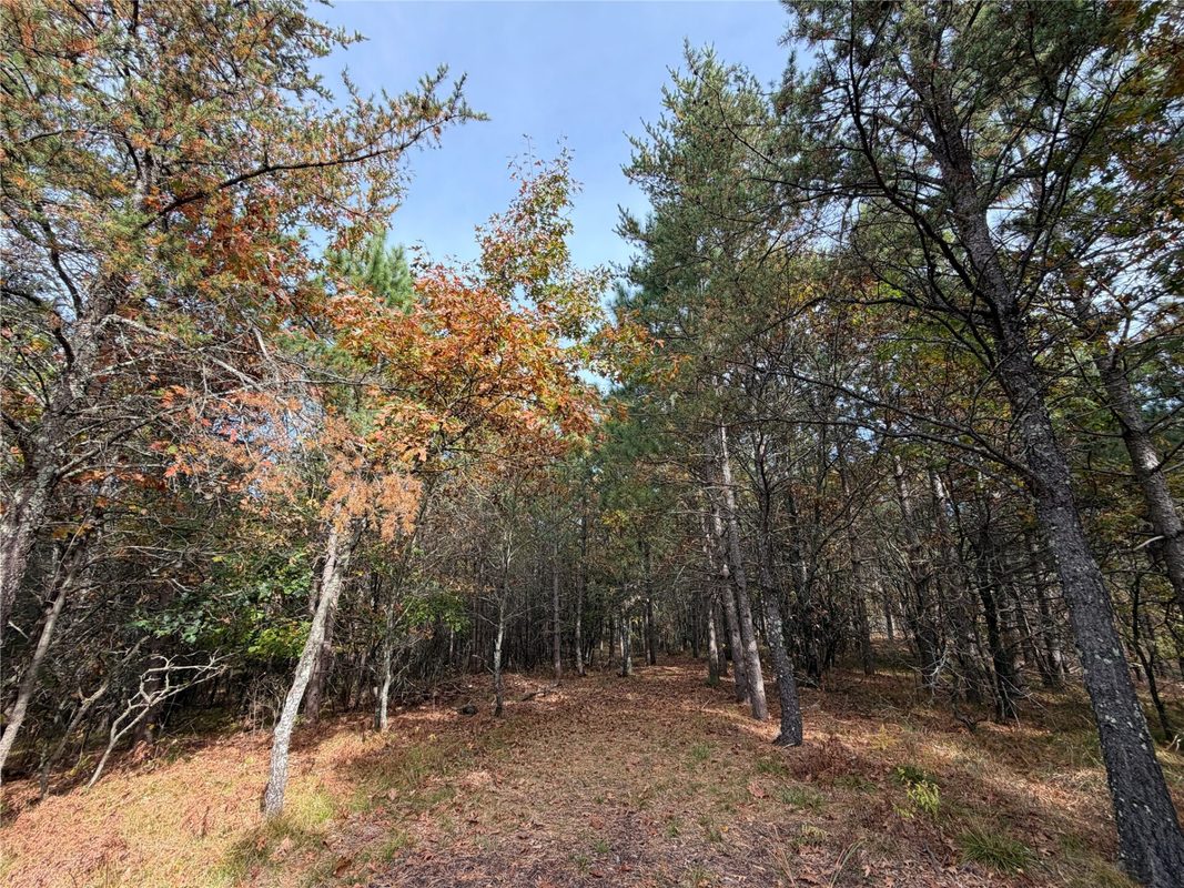 14375 Grell Road, Grantsburg WI 54840 - Land house for sale - MLS #1605788 - image2
