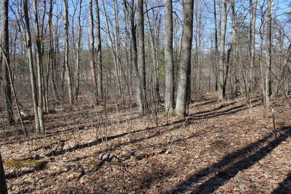 00 Resewood Ave. Lot – 3 Neillsville WI 54456 — photo 3