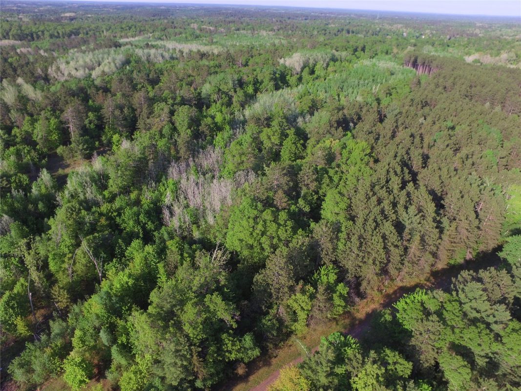 Lot 31 Setting Sun Trail Way, Danbury WI 54830 - Land house for sale - MLS #1601782 - image9