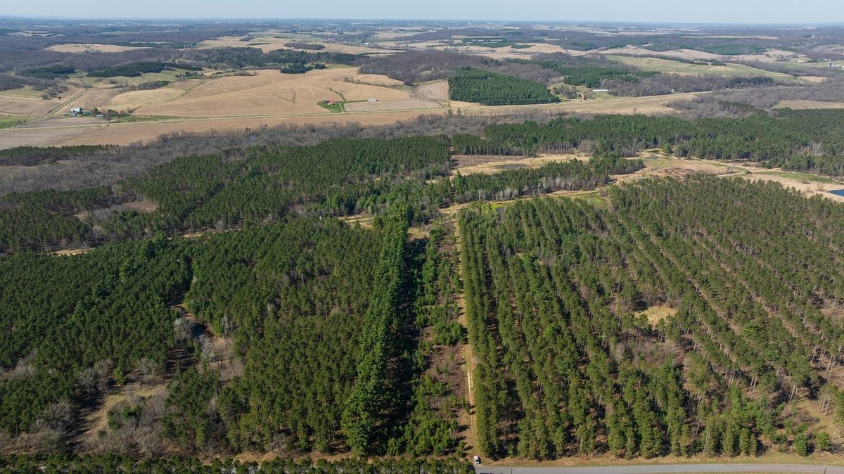 Land at 0 Prairie Road, Osseo, WI 54758 — photo 28
