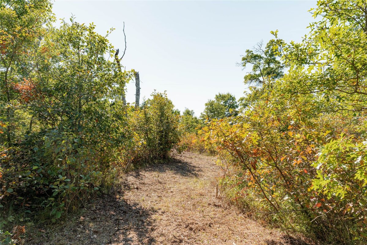0 County Road T, Minong WI 54859 - Land house for sale - MLS #1605534 - image10