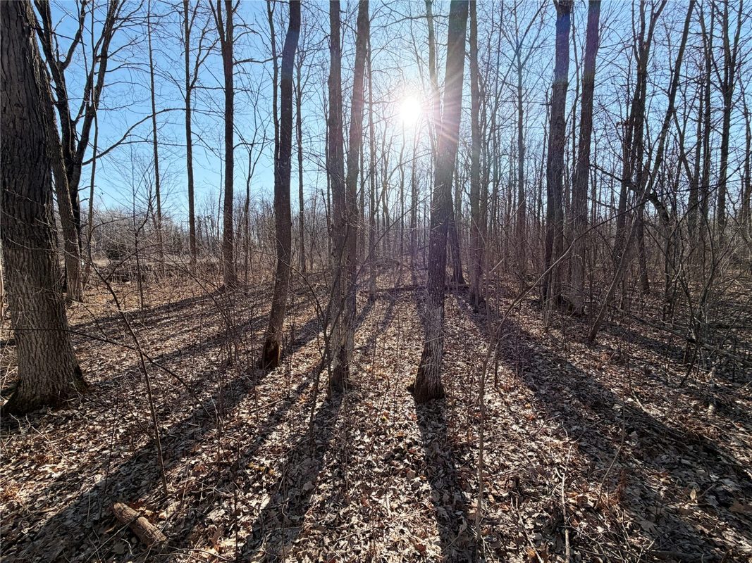N5009 Degenaar Drive, Spooner WI 54801 - Land house for sale - MLS #1597770 - image12