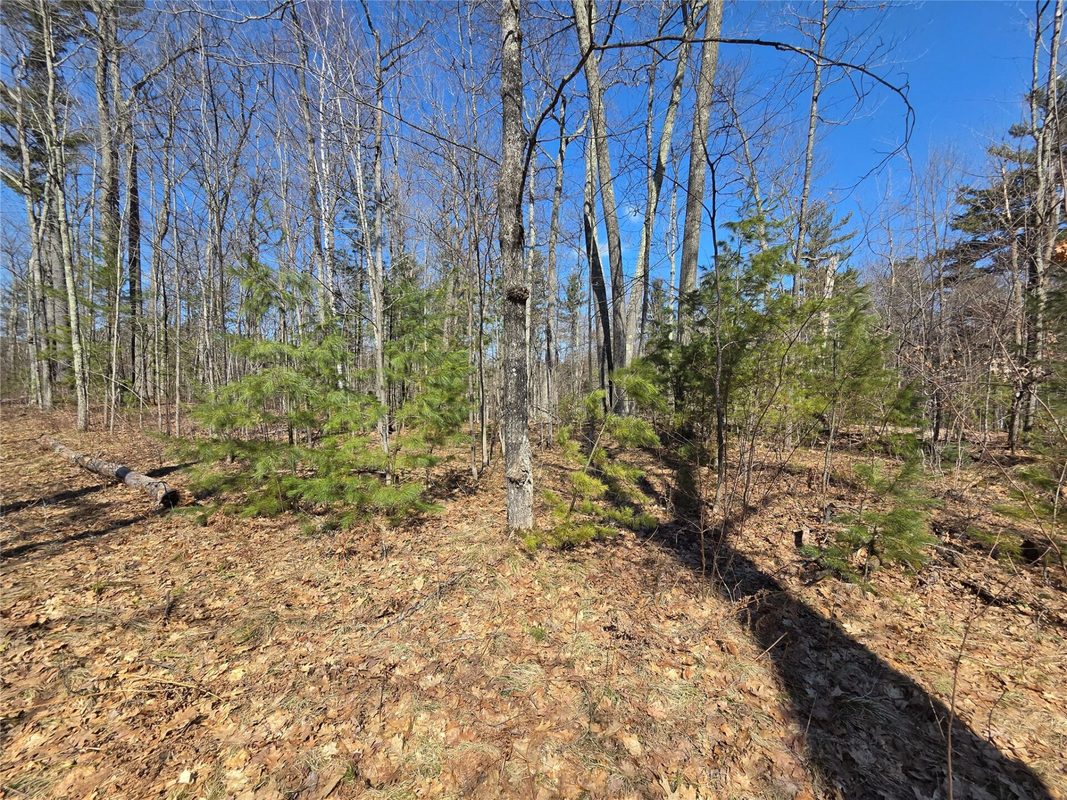 Lot 1 W South Shore Rd Hayward WI 54843 — photo 18