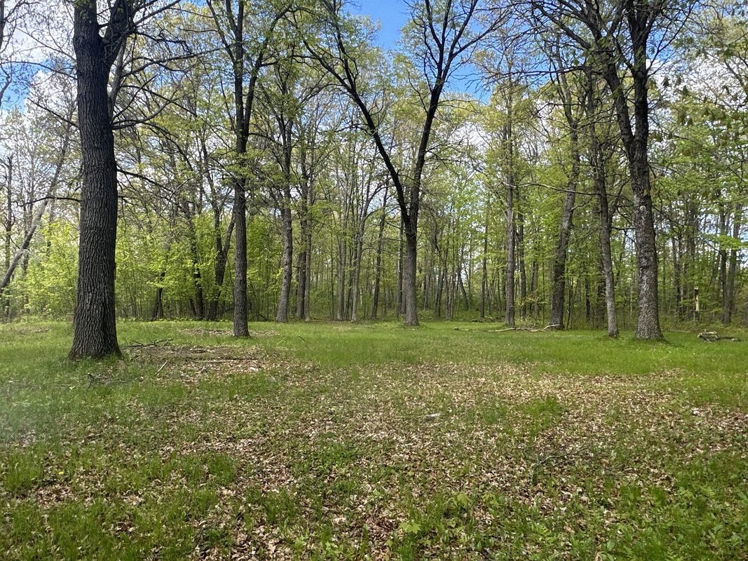 25275 Bruss Road, Webster WI 54893 - Land house for sale - MLS #1602158 - image25