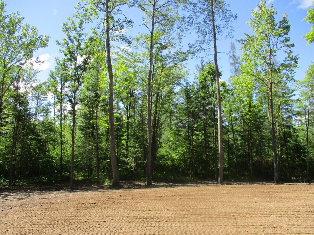 2863 Independence Way & 29 9/16 Avenue, Birchwood WI 54817 - Land house for sale - MLS #1601854 - image11