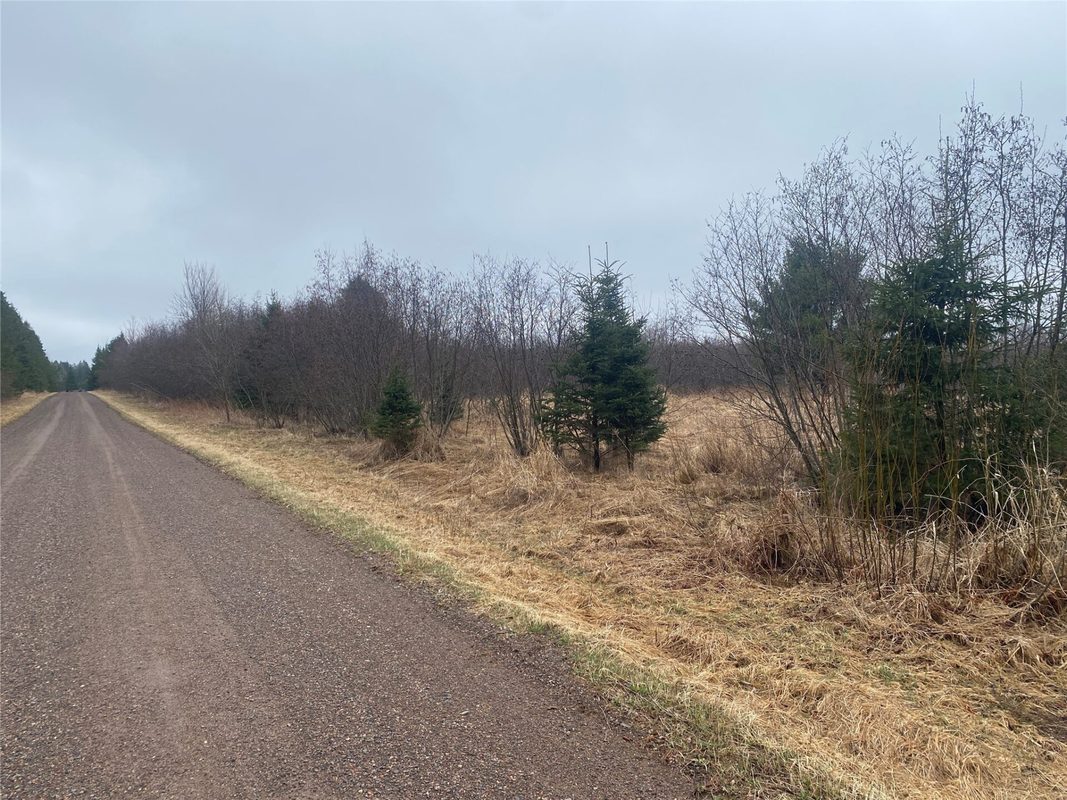 ON Shauger Road Ogema WI 54459 — photo 2