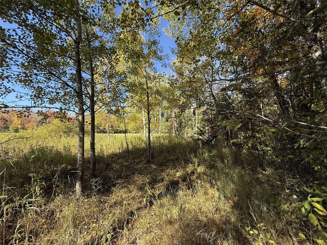 0 Moonshine Alley Lot 2, Catawba WI 54515 - Land house for sale - MLS #1606167 - image3