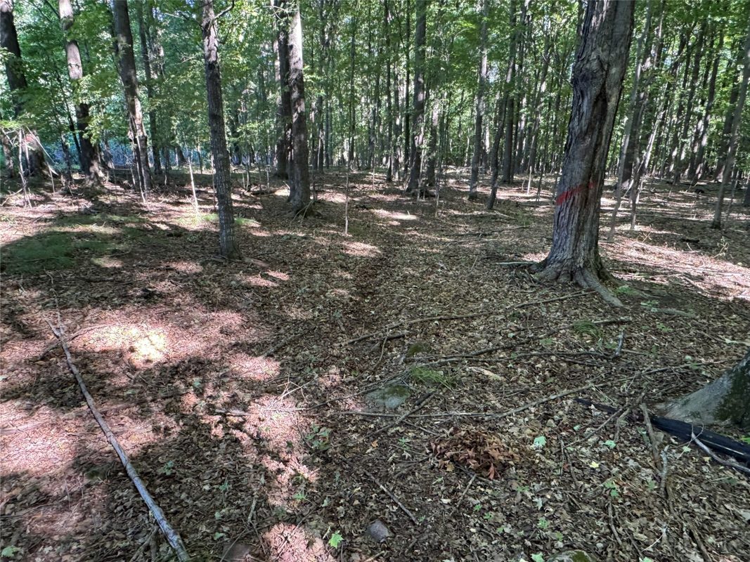 OOO County Road L, Merrill WI 54452 - Land house for sale - MLS #1605059 - image10
