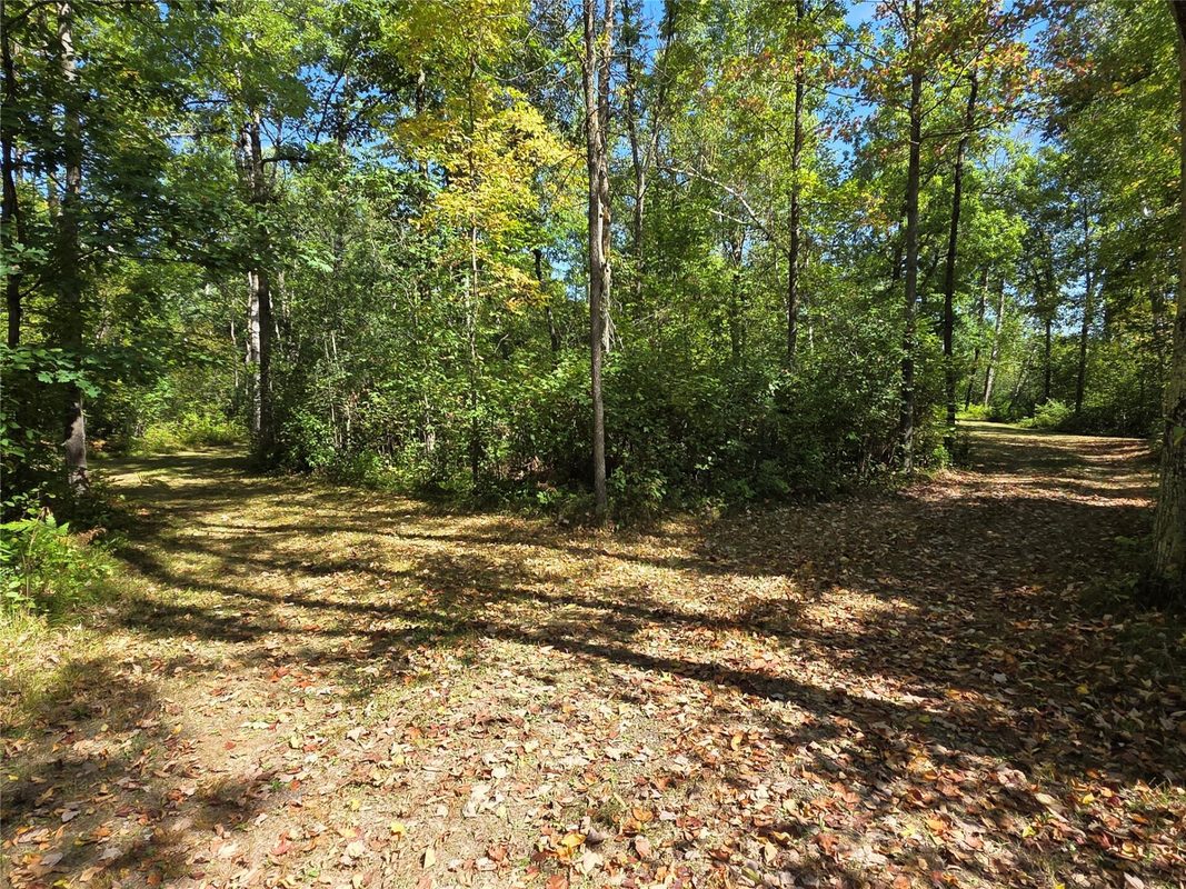 2809 28 11/16 Street, Birchwood WI 54817 - Land house for sale - MLS #1604772 - image44