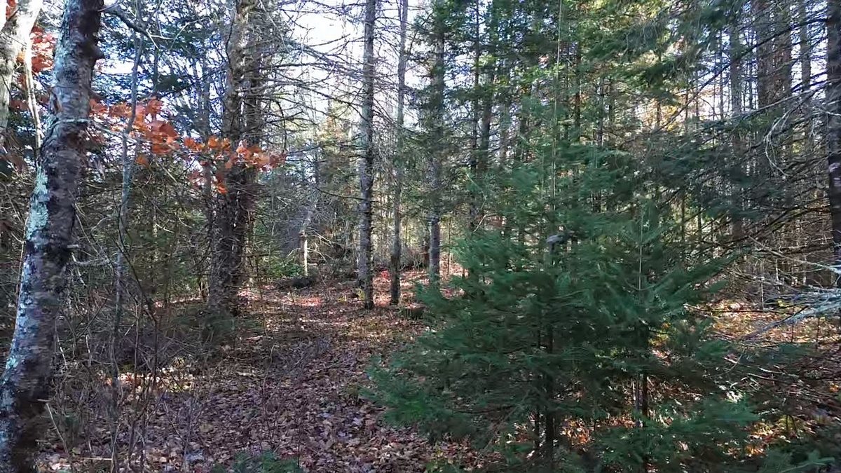 4800 43 Road, Solon Springs WI 54783 - Land house for sale - MLS #1606105 - image16