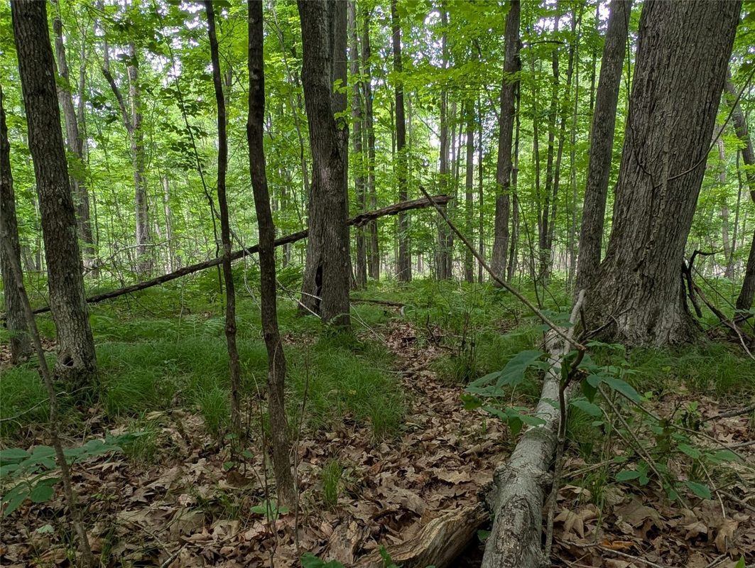 W6620 Deerwood Drive, Ladysmith WI 54848 - Land house for sale - MLS #1602936 - image13