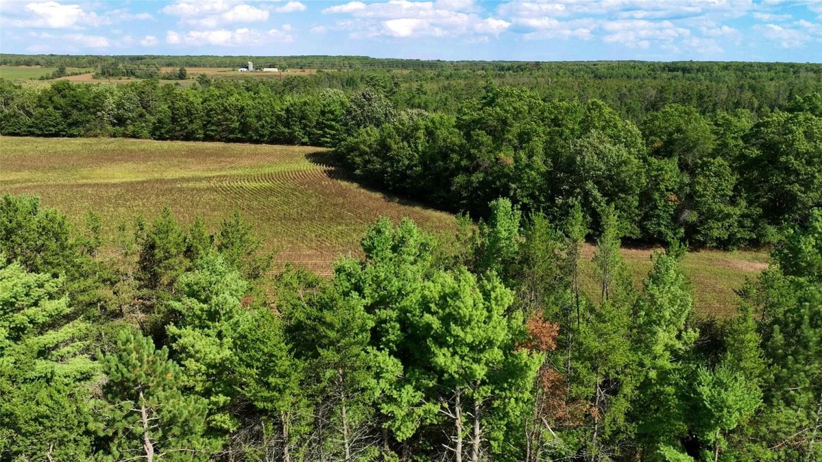 7562 Fairview Road, Ladysmith WI 54848 - Land house for sale - MLS #1605842 - image10