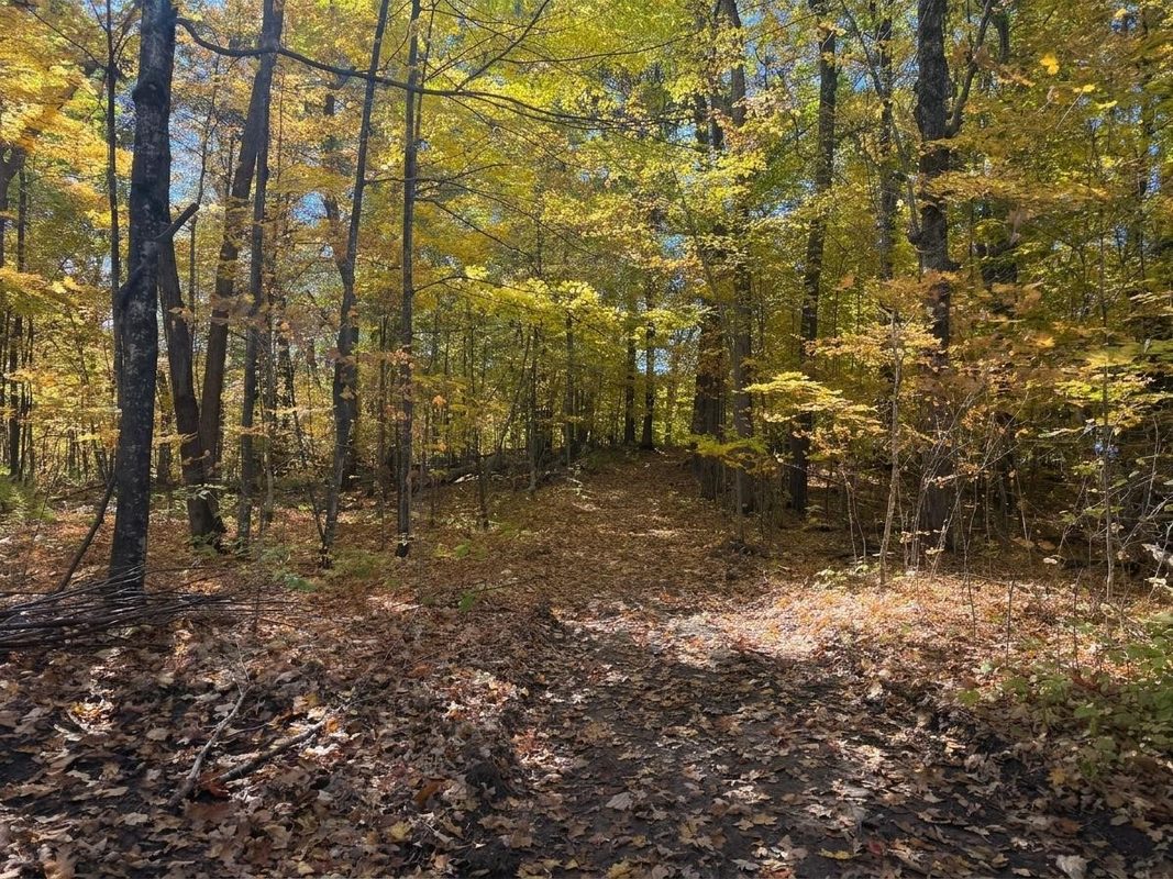 Lot 78, 79 Loons Landing Road, Weyerhaeuser WI 54895 - Land house for sale - MLS #1605876 - image7
