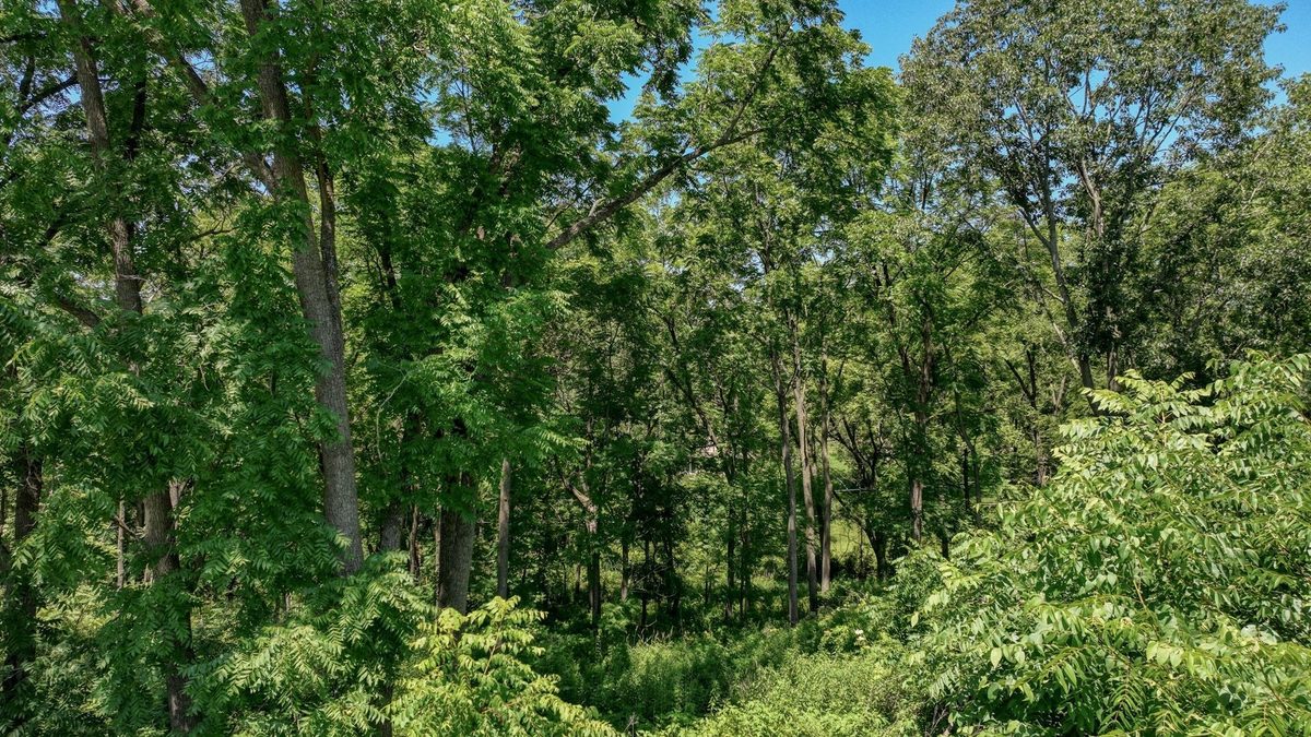 00 Garves Coulee Road, Bangor WI 54614 - Land house for sale - MLS #1603270 - image10