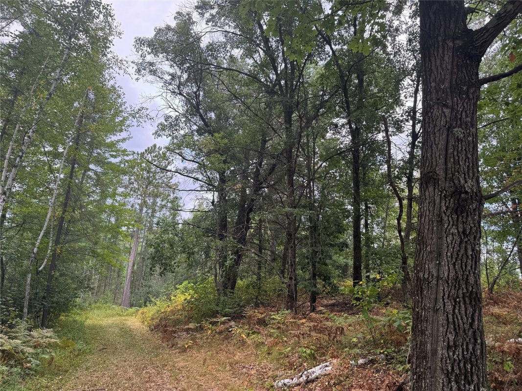 900 County Road A, Tomahawk WI 54487 - Land house for sale - MLS #1604619 - image37