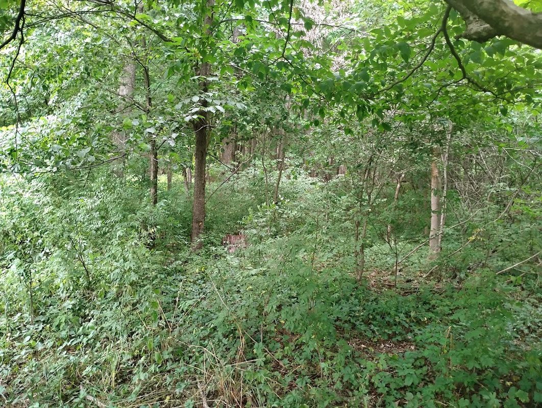 0 1130th, Colfax WI 54730 - Land house for sale - MLS #1604452 - image10